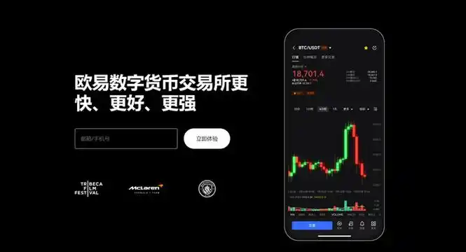 欧义系统展示图